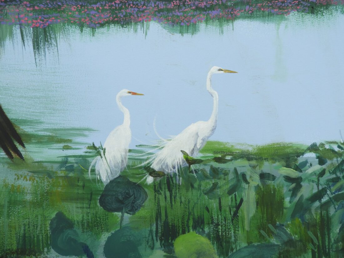 Great egrets