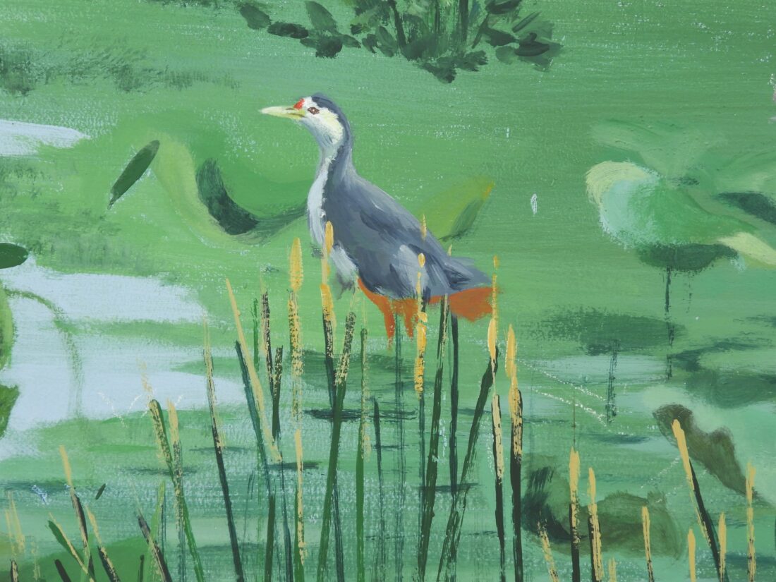 Purple heron among the reeds