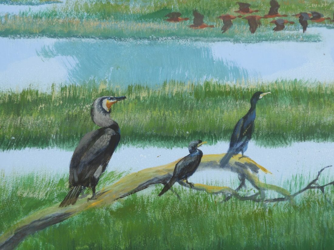 Cormorants on a branch