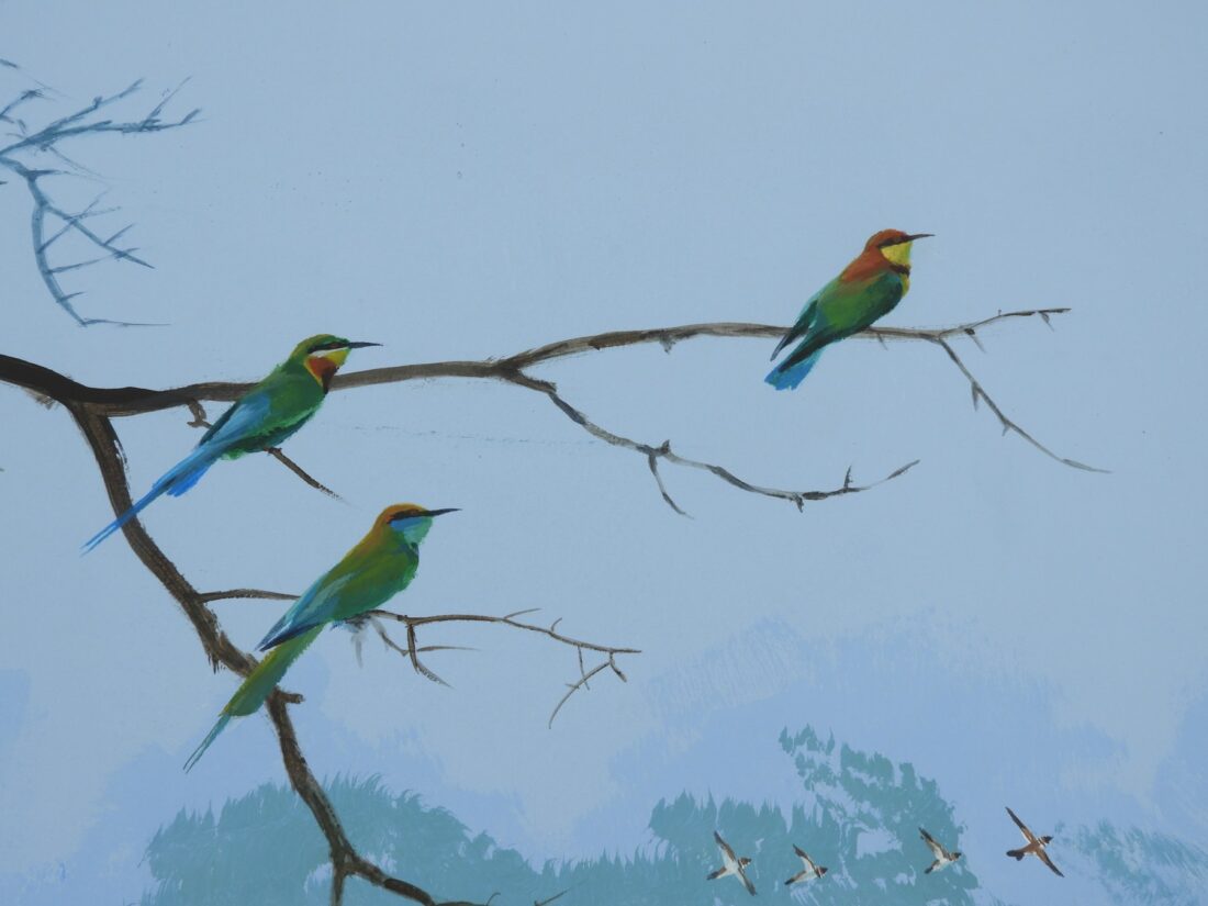 Blue-throated bee-eaters